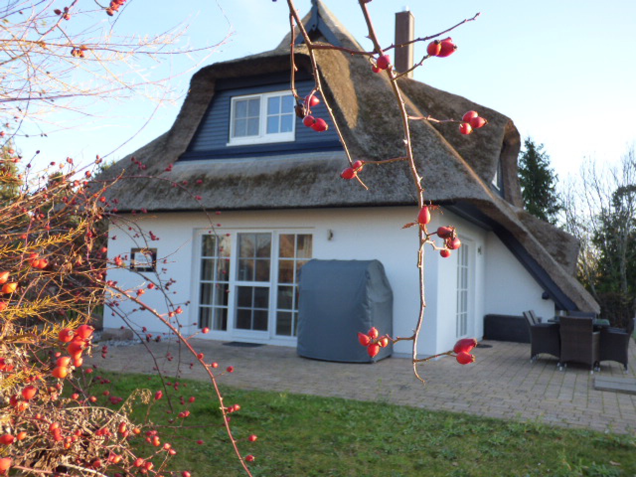Sackgasse! Erdwärme-Ferienhaus unter Reet mit Kamin & Sauna & Wallbox!
