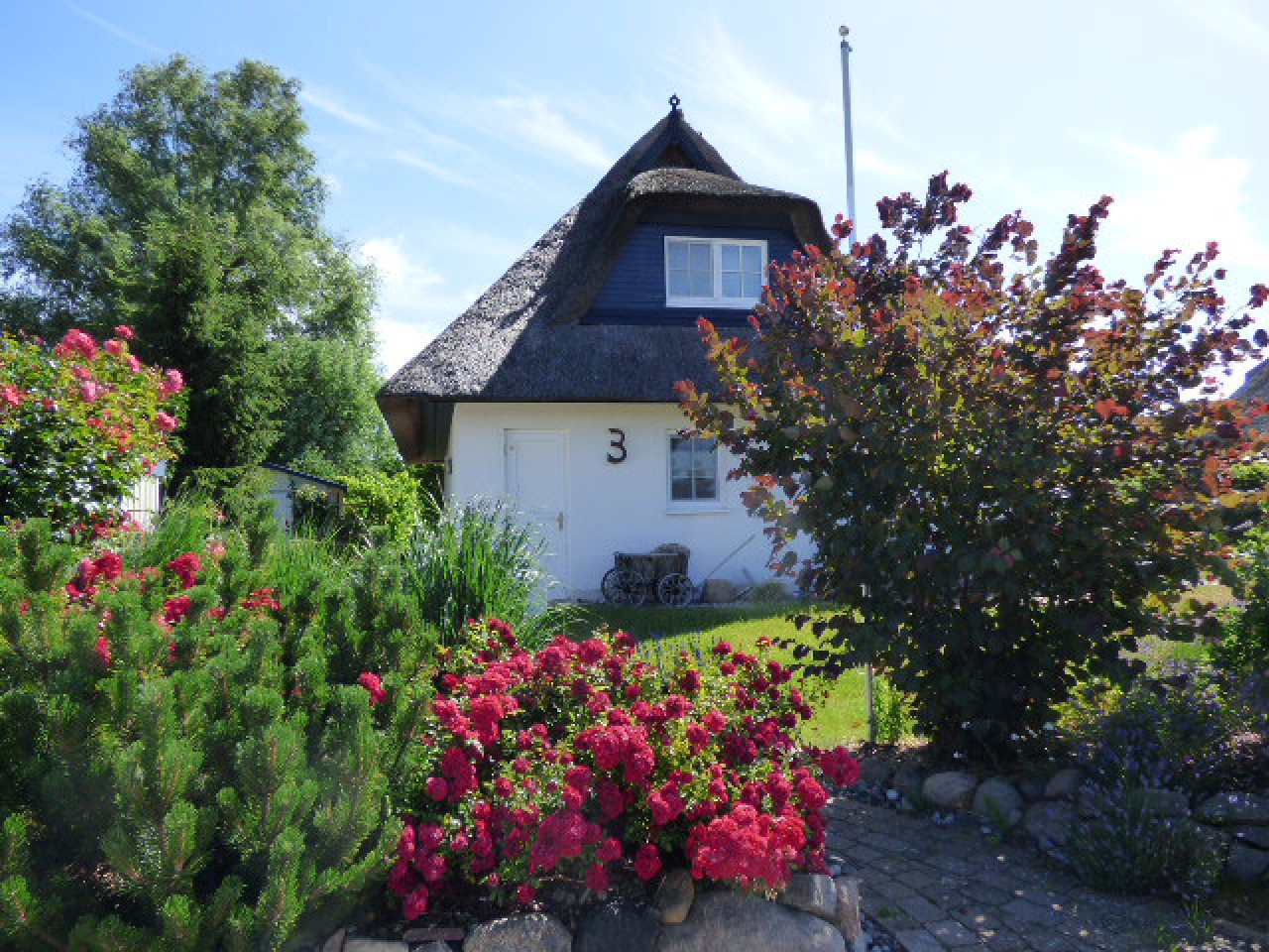 Preis aktuell reduziert! Reetdachhaus zum 1. Wohnsitz mit Erdwärme/Sauna/Kamin in Feldrandlage! 