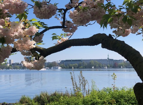 Frühlingszeit = Verkaufszeit!