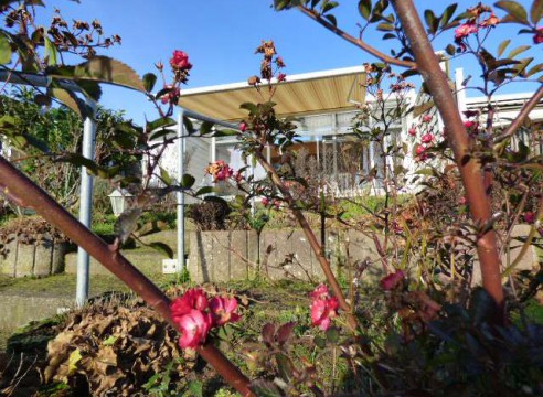 Bungalow mit Wintergarten und Blick auf die Lübecker Bucht!