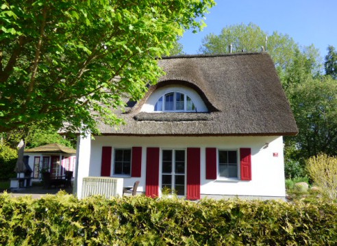 Sehr gut vermietet! Solar, Sauna, Kamin, Entkalkungsanlage... Ferienhaus unter Reet