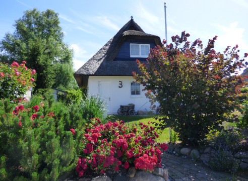 Preis aktuell reduziert! Reetdachhaus zum 1. Wohnsitz mit Erdwärme/Sauna/Kamin in Feldrandlage!