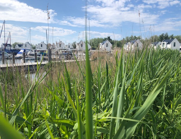 OSTSEEIMMOBILIEN EINMAL ANDERS!